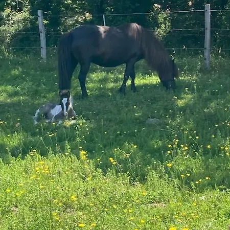 La Campagne Proche De L Ocean Holiday home *