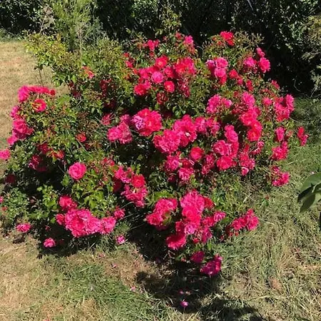 La Campagne Proche De L Ocean Holiday home *