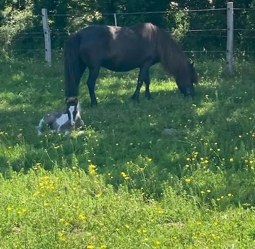 La Campagne Proche De L Ocean بيت للعطل *