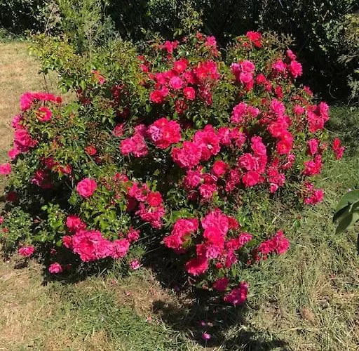 La Campagne Proche De L Ocean بيت للعطل *